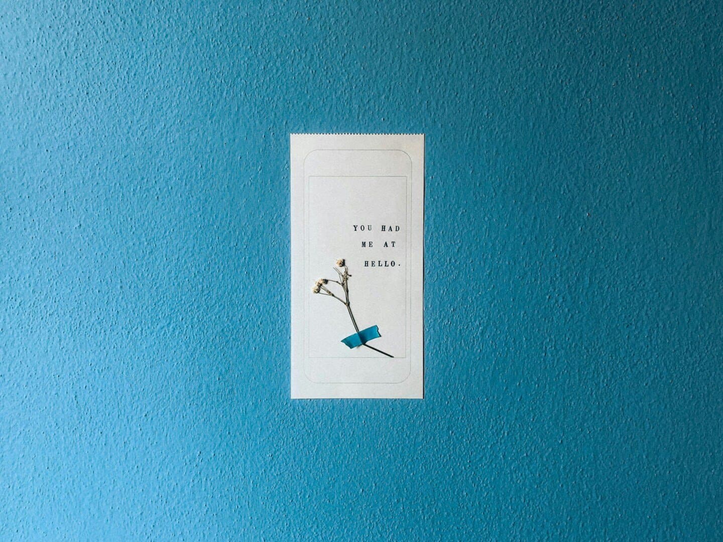 The Perks of Being a Wallflower by Stephen Chbosky, image 1 of 1