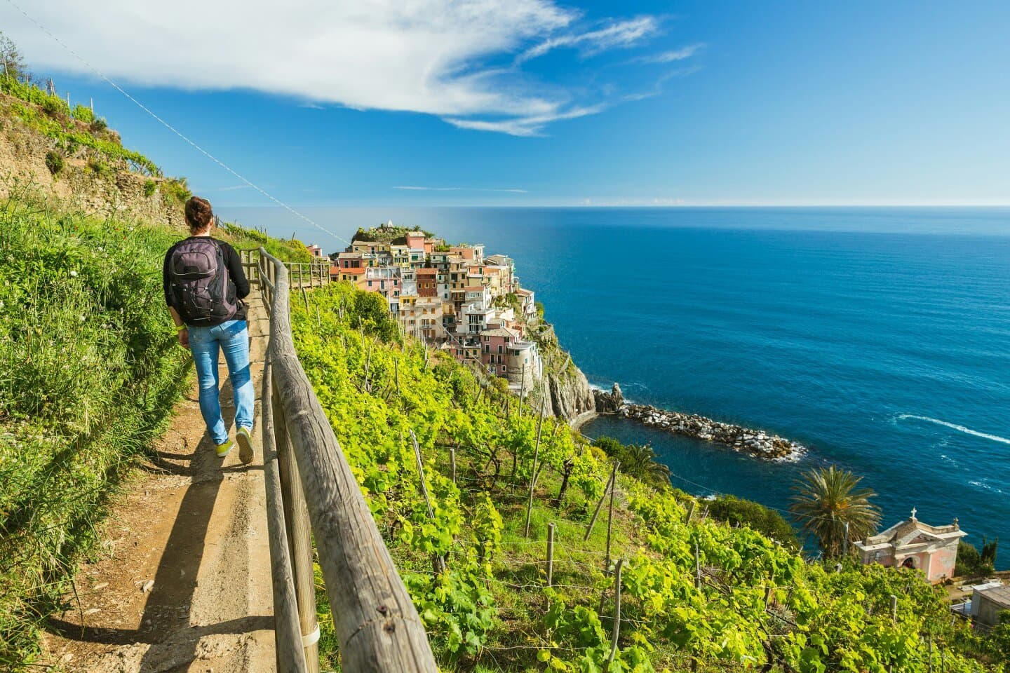 Cinque Terre Coastal Trail, image 1 of 1