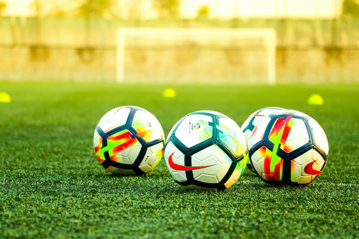 Effects of the FIFA 11+ Program on Physical Fitness in Youth and Adult Soccer Players: A Systematic Review and Meta-Analysis, image 1 of 1