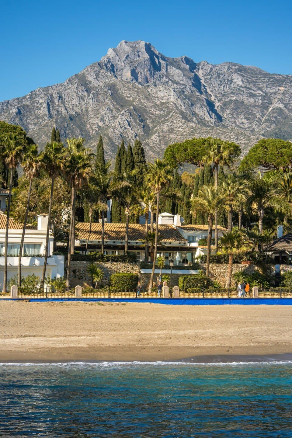 Real Club Pádel Marbella, image 1 of 1