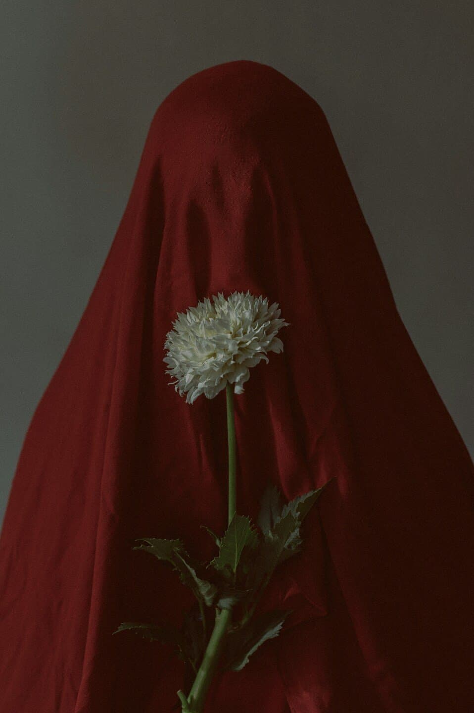 Being Mortal, image 1 of 1