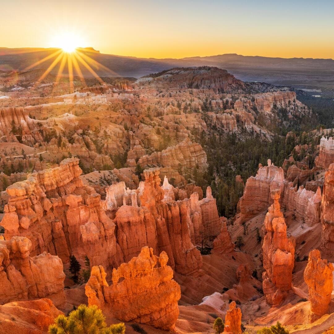 Rim Trail, image 1 of 1