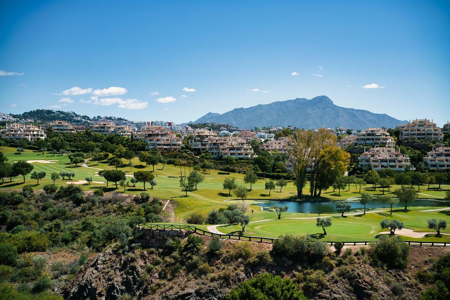 Real Club Pádel Marbella, image 1 of 1