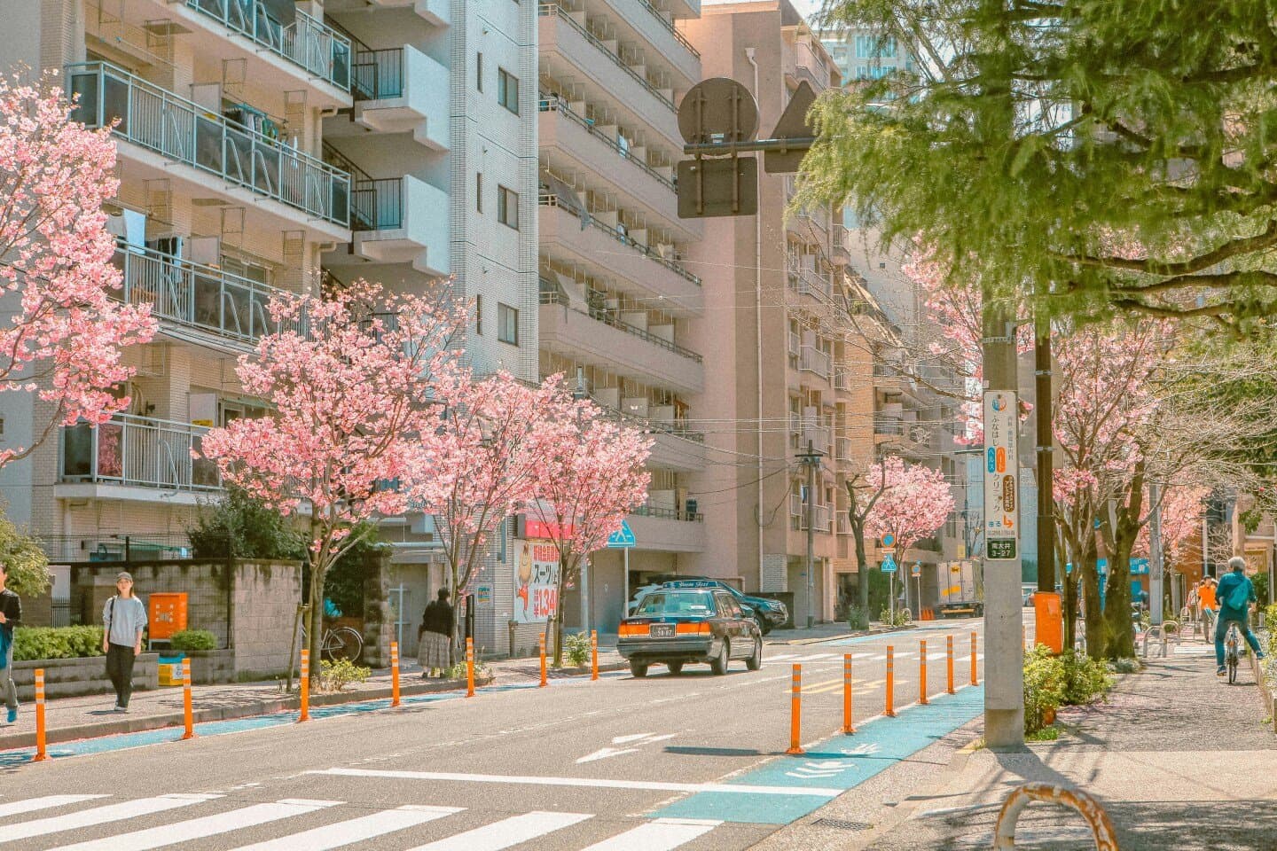 Omotesando Koffee, image 1 of 1