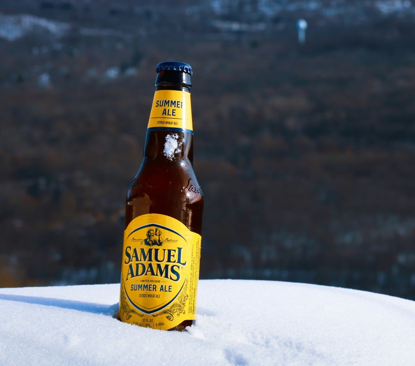 Samuel Adams Wicked Hazy, image 1 of 1