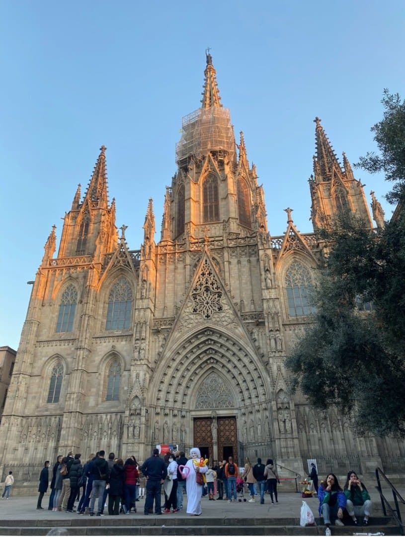 Catedral de Barcelona, image 1 of 1