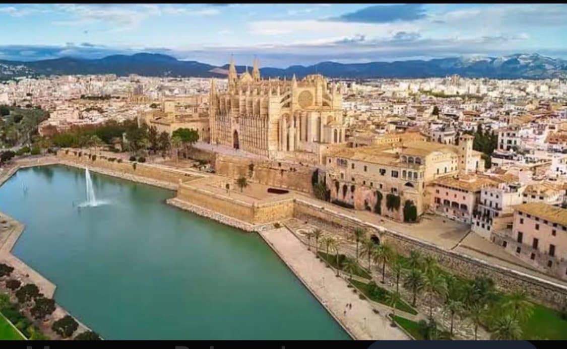 Palma, image 1 of 1