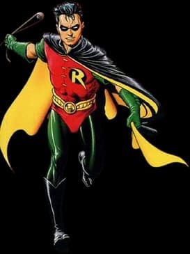 Robin, image 1 of 1