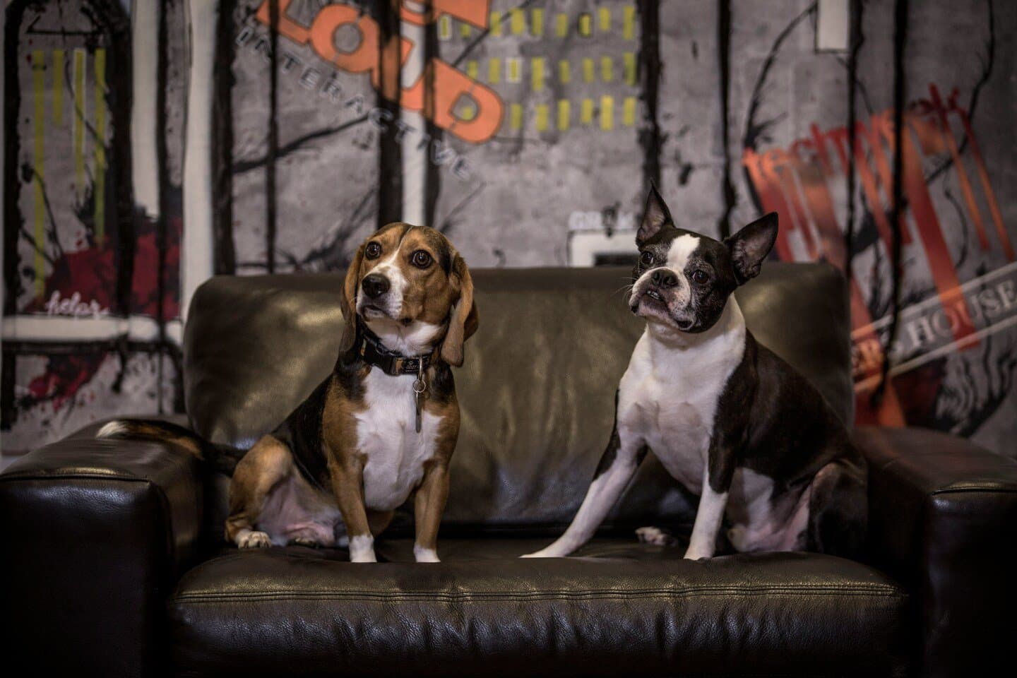 Reservation Dogs, image 1 of 1