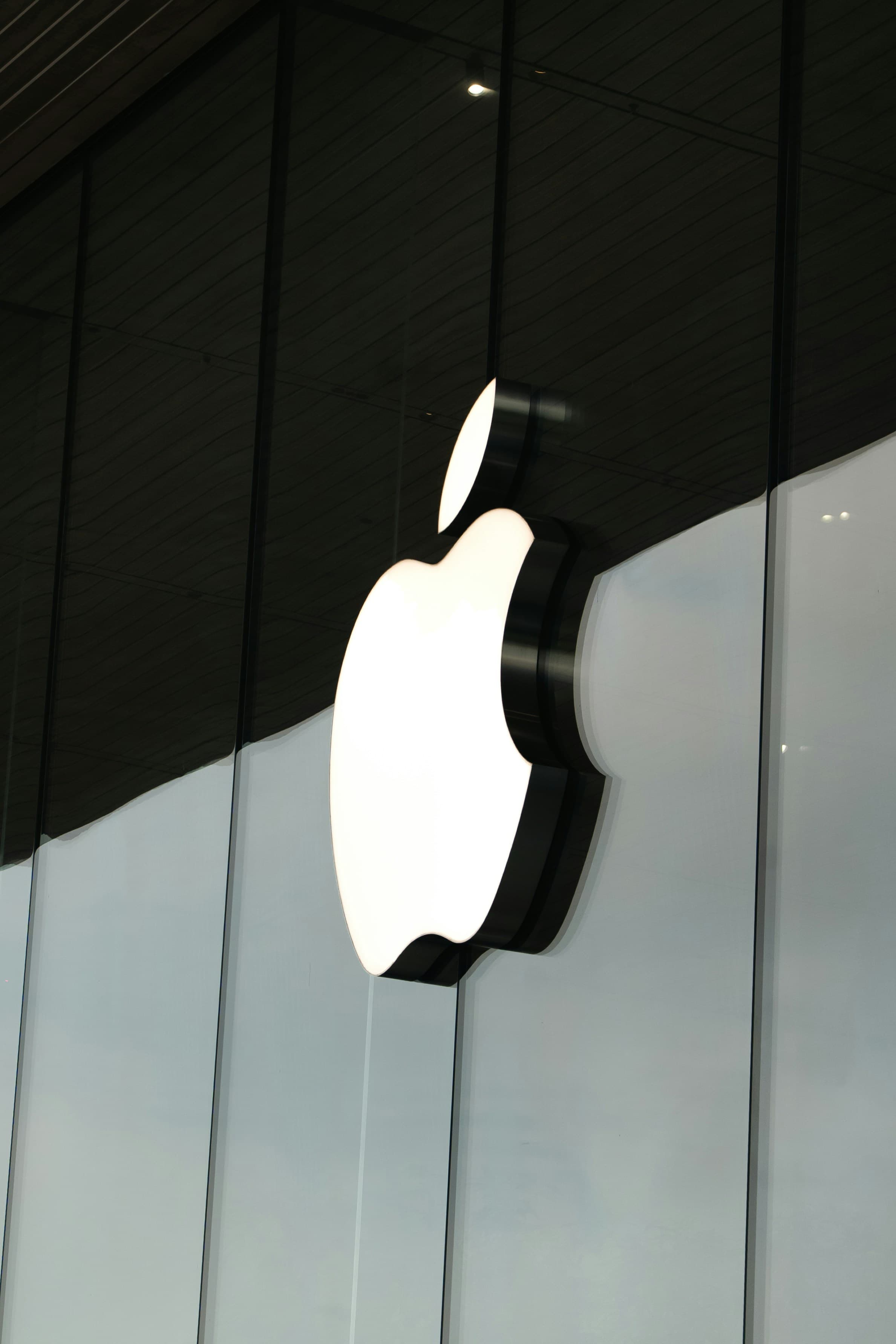 Apple, image 1 of 1
