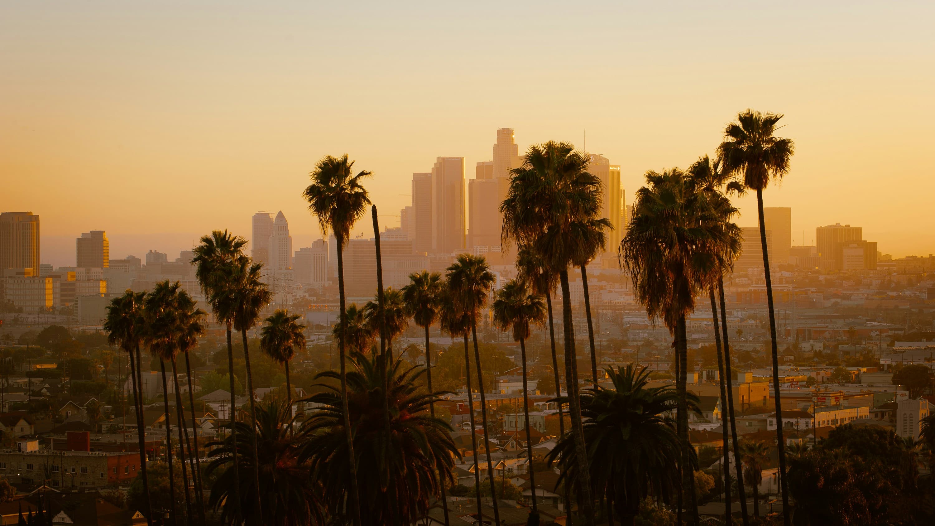 Los Angeles, image 1 of 1