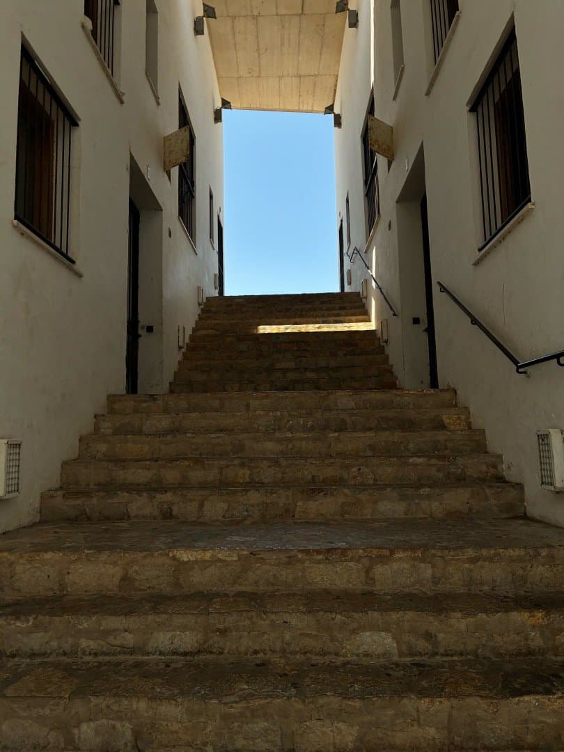 Old Town, image 1 of 1