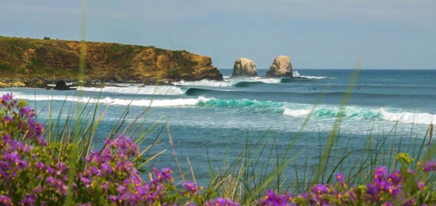 Punta de Lobos, image 1 of 1