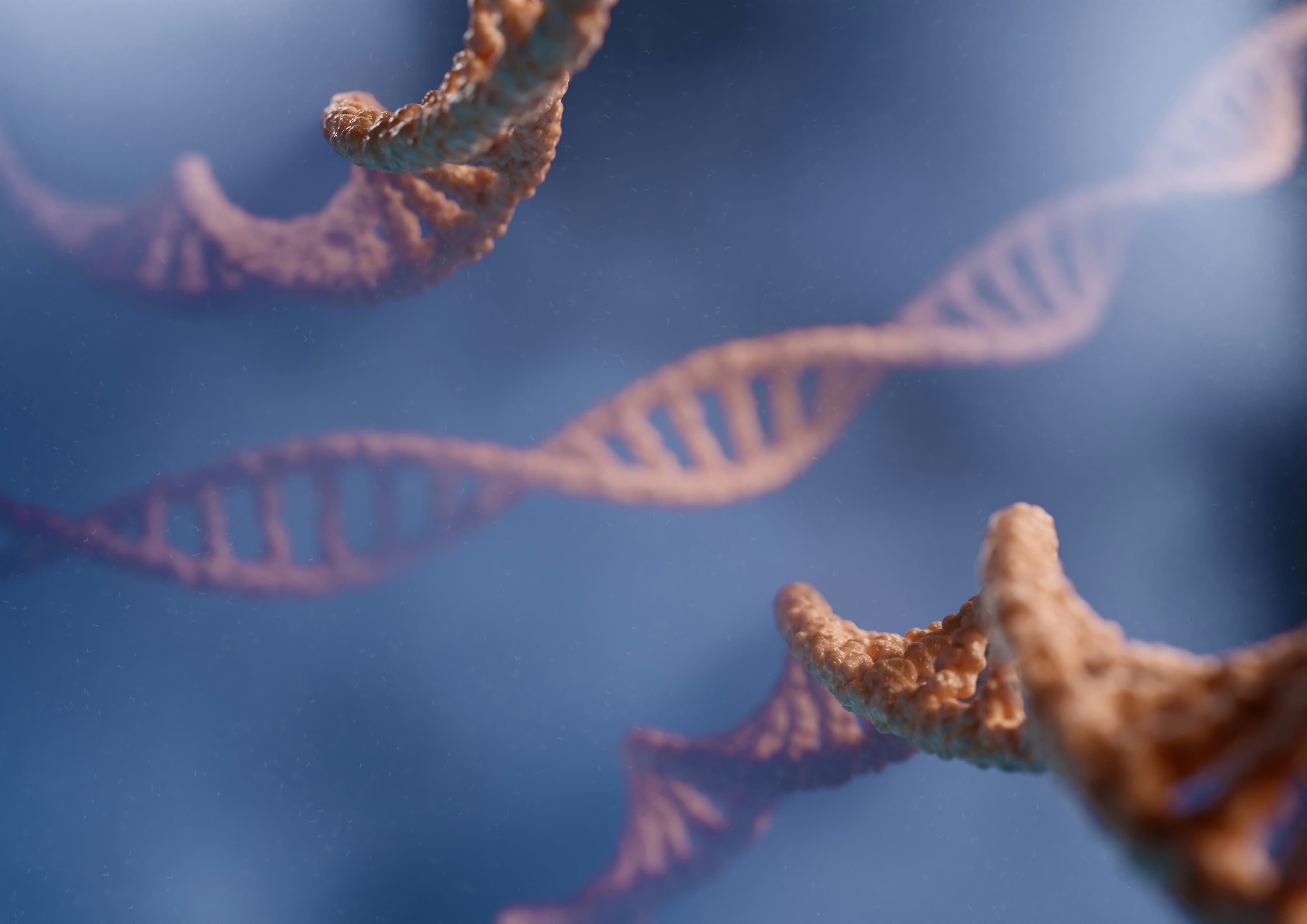 A Programmable Dual-RNA–Guided DNA Endonuclease in Adaptive Bacterial Immunity, image 1 of 1