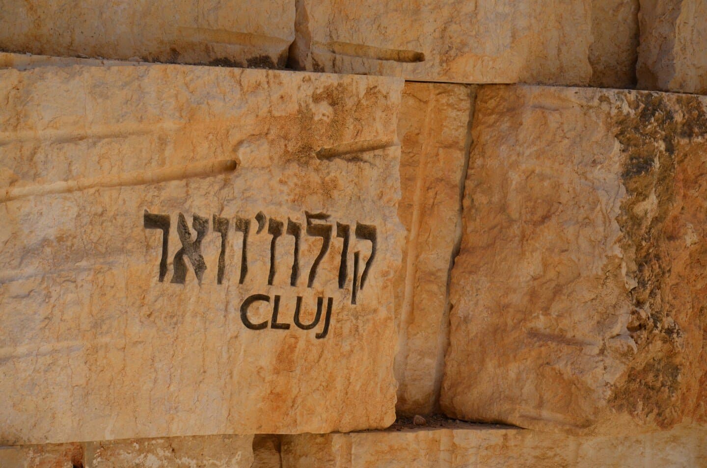 וגה, image 1 of 1