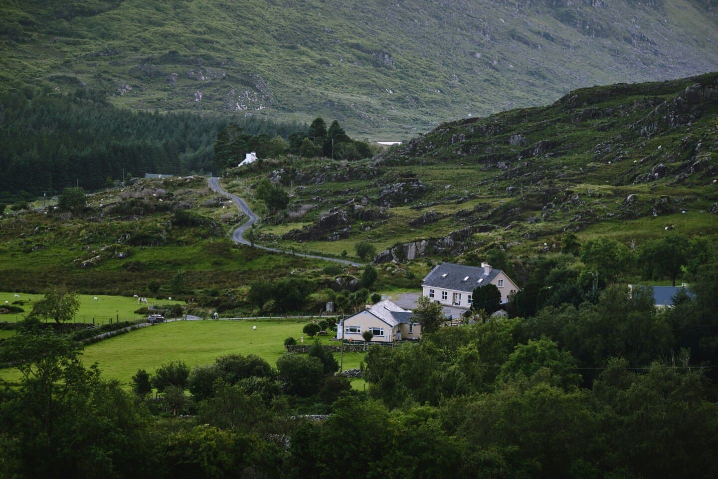 Micheál Mullins, image 1 of 1