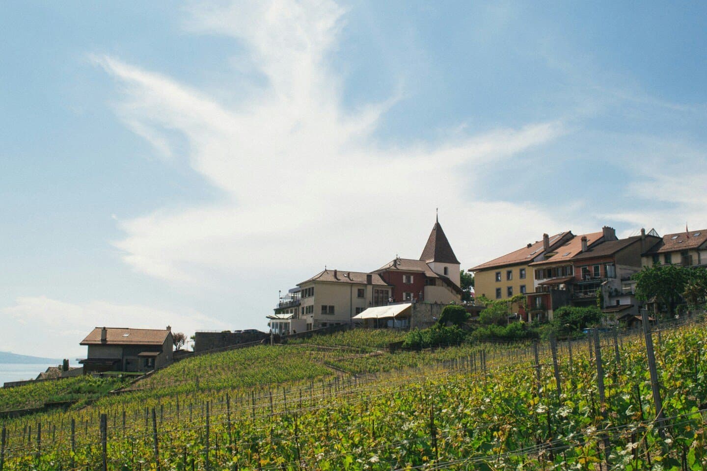 Caveau des Vignerons de Luins-Vinzel, image 1 of 1