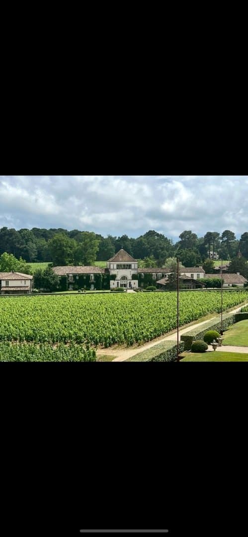 Bordeaux/Pessac Leognan, image 1 of 1