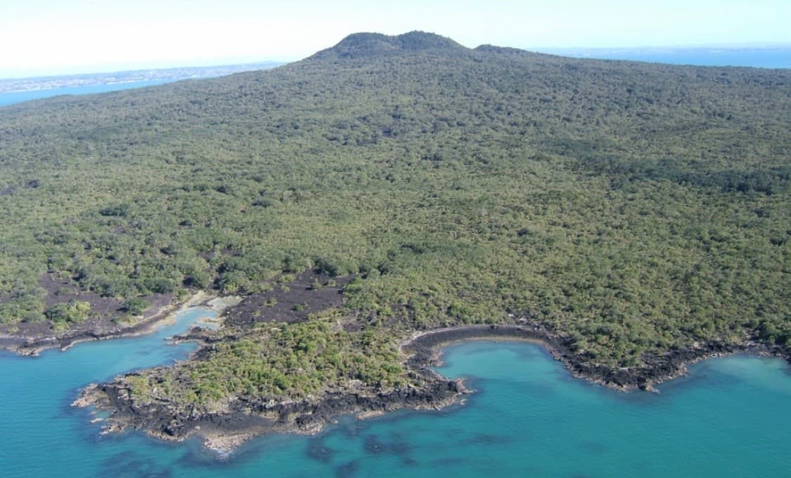 Ilha de Rangitoto, image 1 of 1