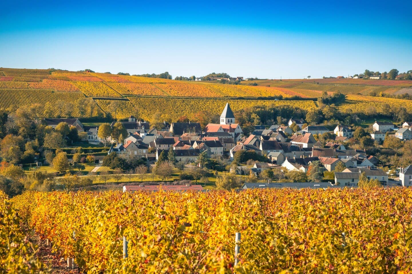 Clos des Abbayes, image 1 of 1