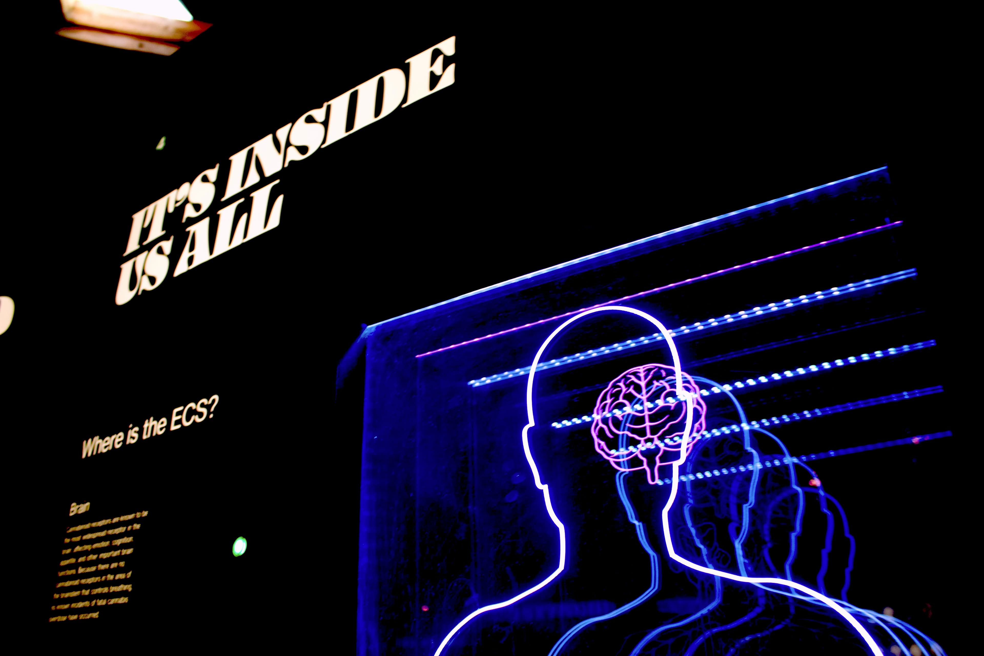 Bethlem Museum of the Mind, image 1 of 1