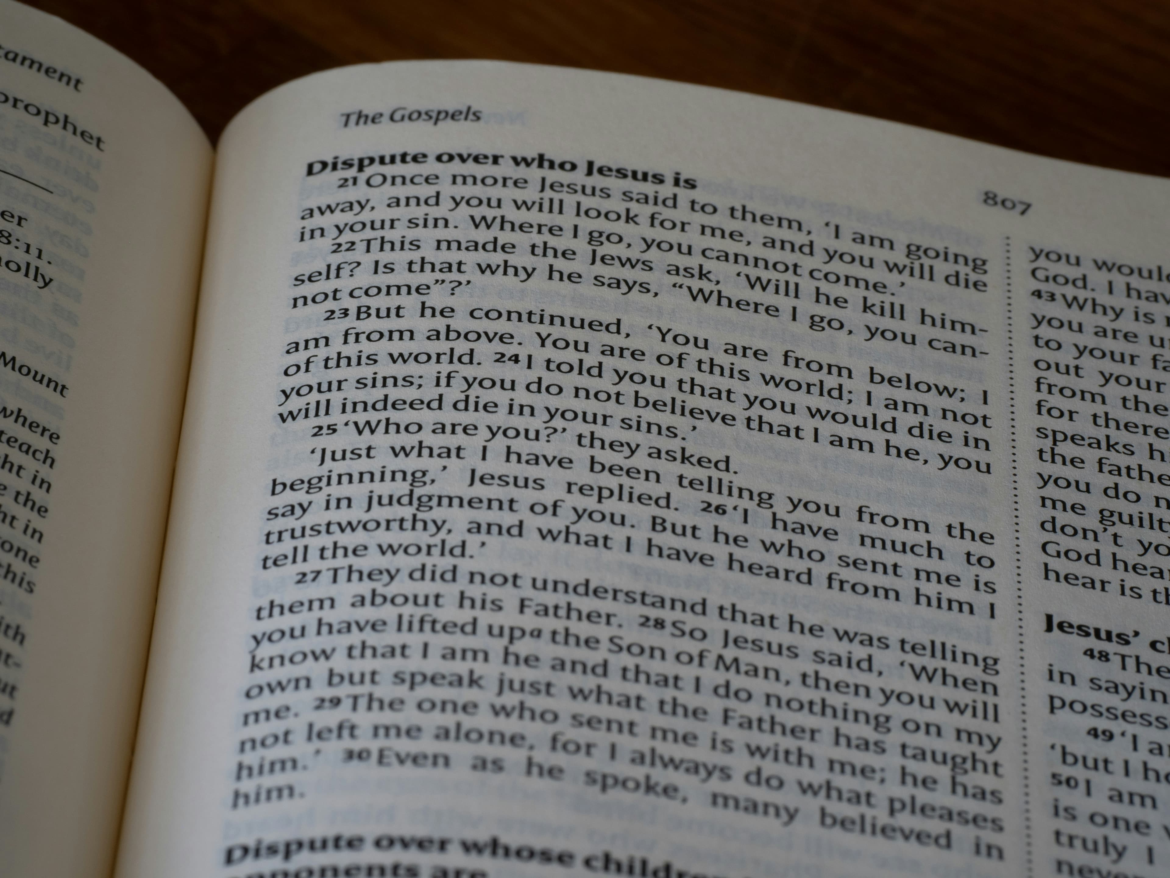 Chapter One, image 1 of 1