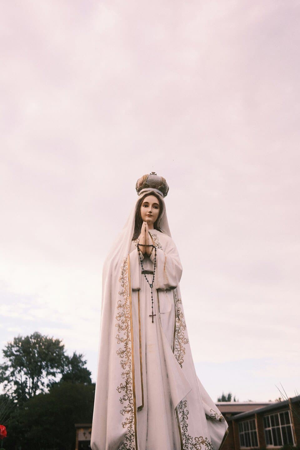 Project Hail Mary, image 1 of 1
