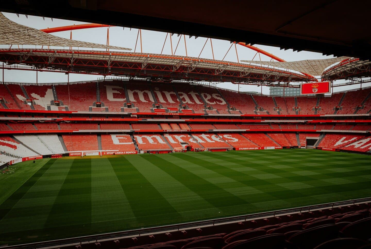 Declan Rice, image 1 of 1