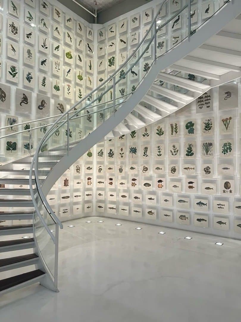 Itaú Cultural, image 1 of 1