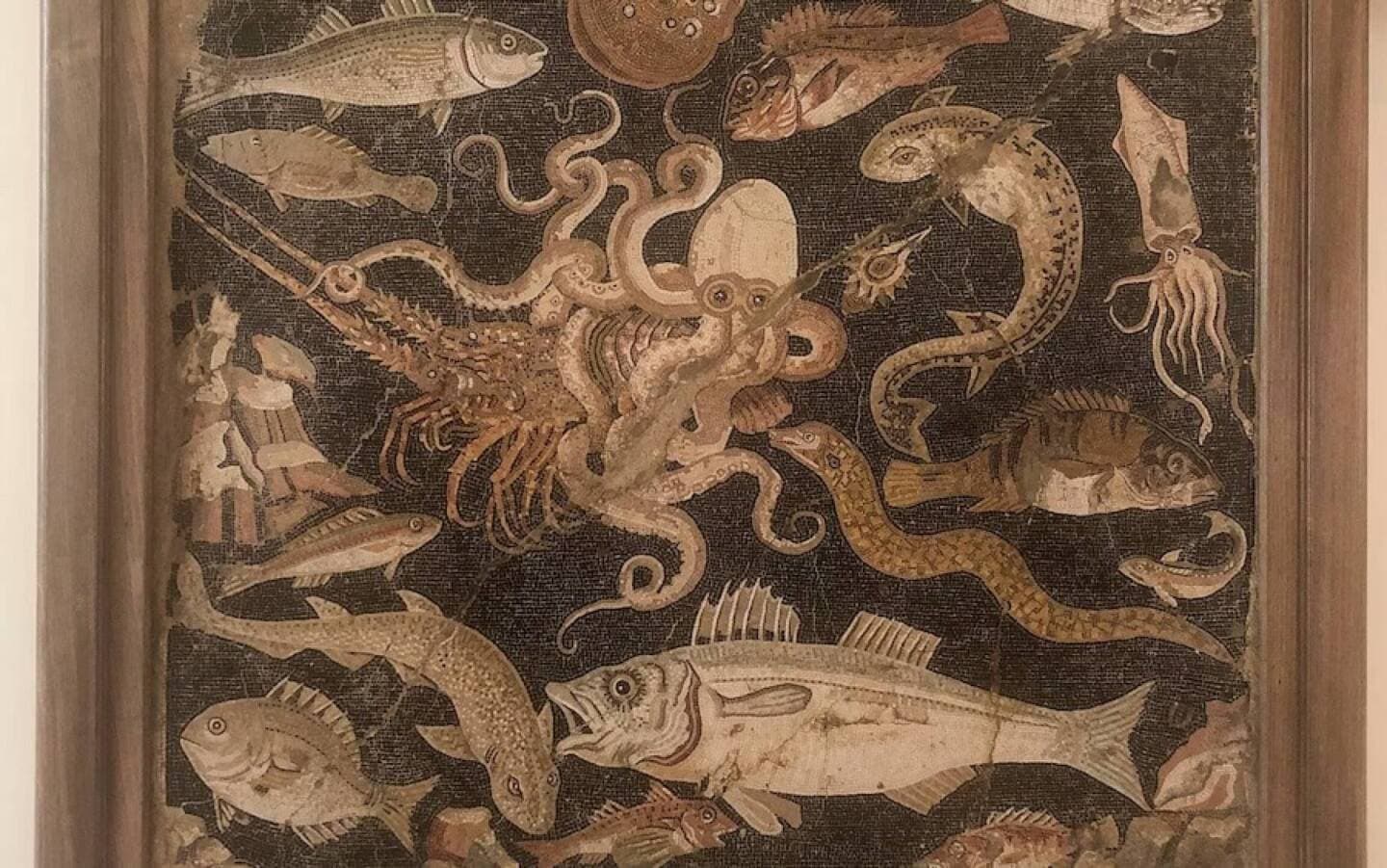 National Archeological Museum, image 1 of 1