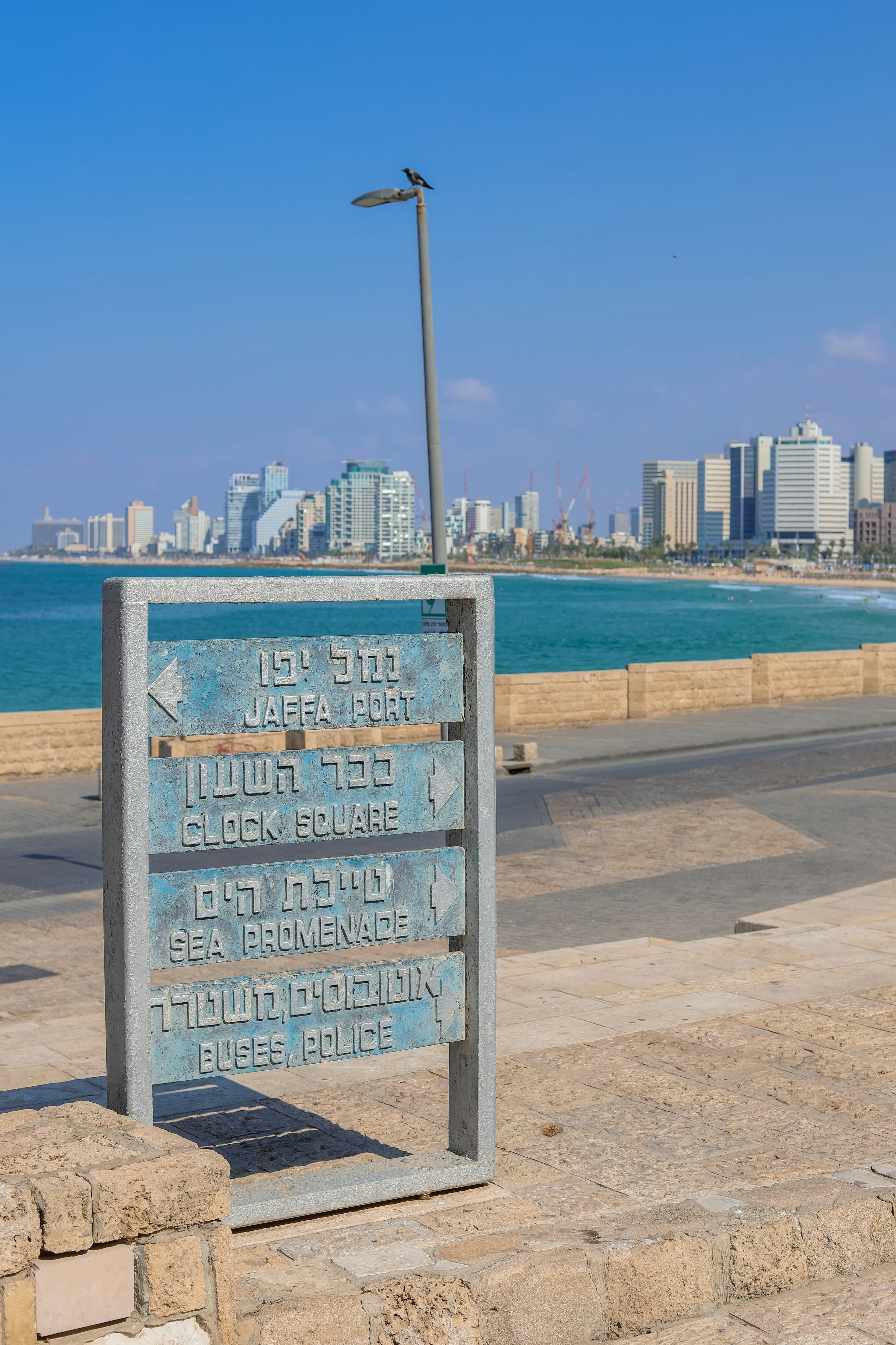 MUZA – מוז"א, מוזיאון ארץ ישראל תל אביב, image 1 of 1