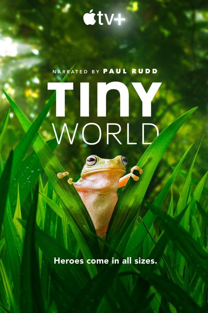 Tiny World, image 1 of 1