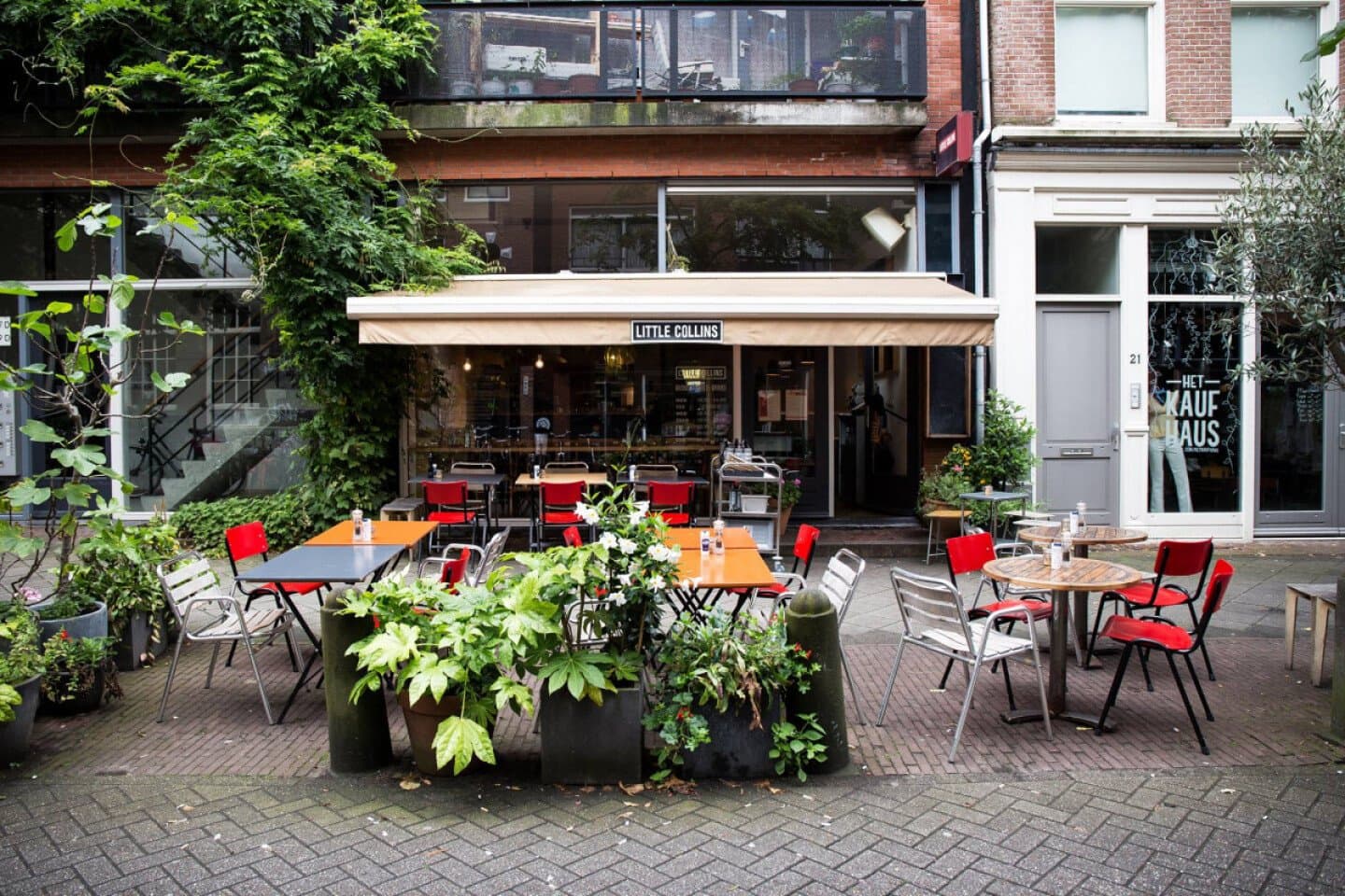 Lunch at an Organic Restaurant, image 1 of 1