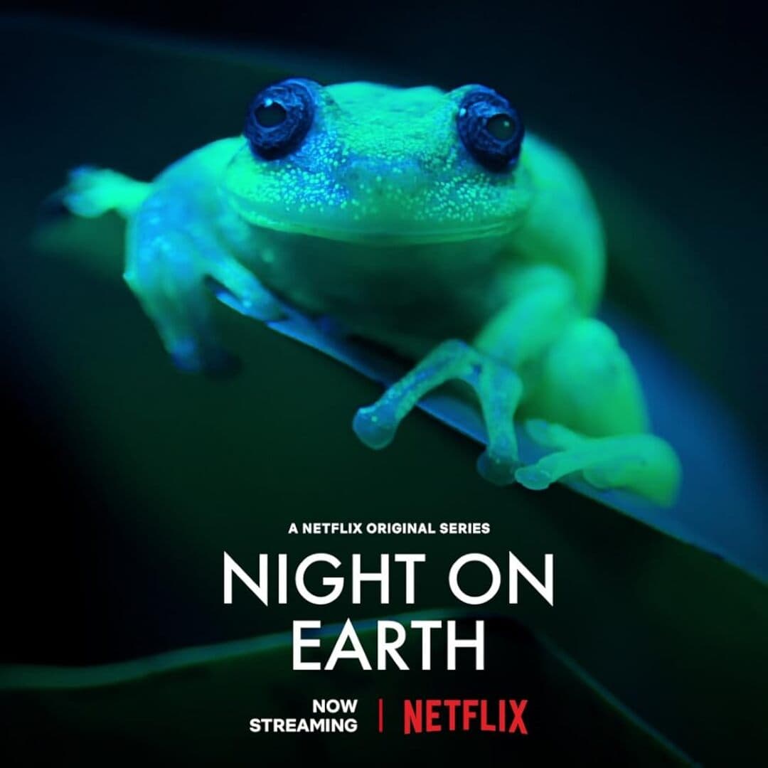 Night on Earth, image 1 of 1