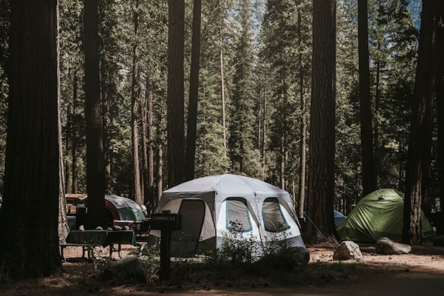 Choose Sustainable Accommodations, image 1 of 1