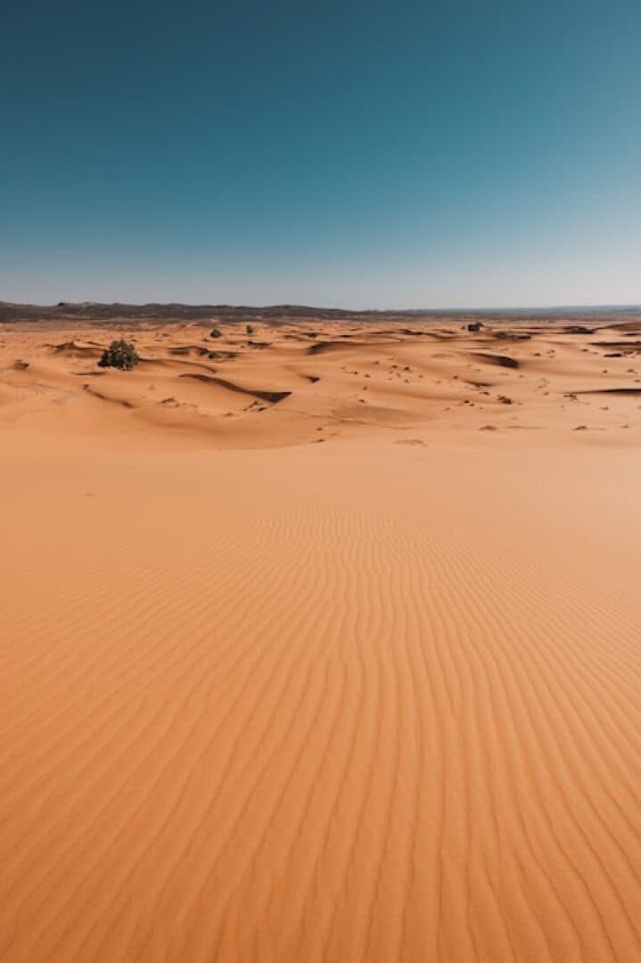 Explore the Sahara Desert, image 1 of 1