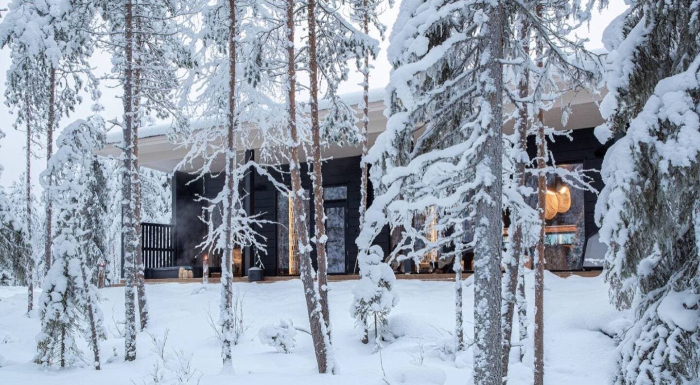 Arctic TreeHouse Hotel, image 1 of 3