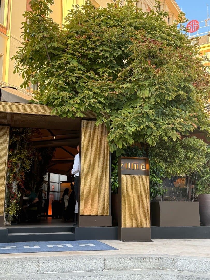 Zuma Madrid, image 1 of 1