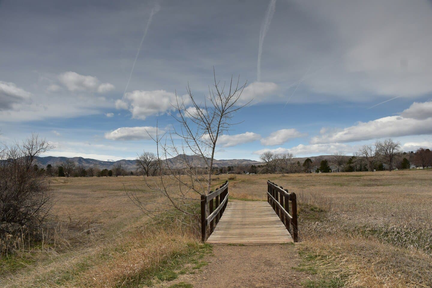 Crissy Field, image 1 of 1