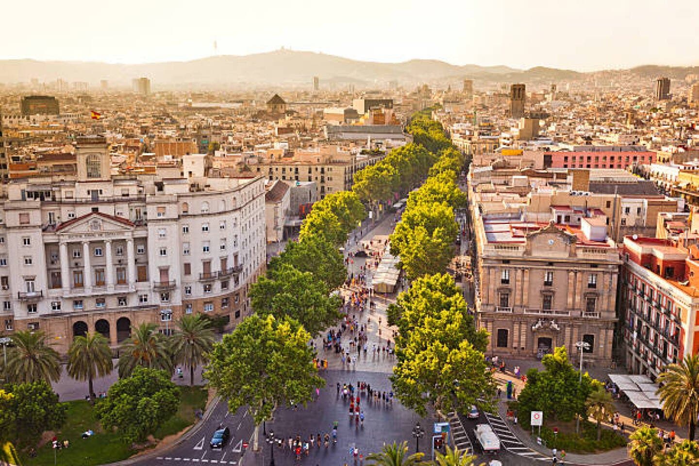 Stroll Down Las Ramblas, image 1 of 1