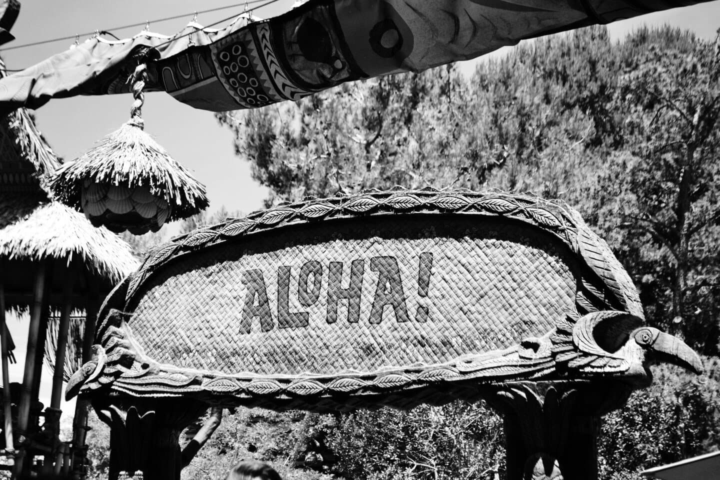 Aloha Tennis & Padel Club, image 1 of 1