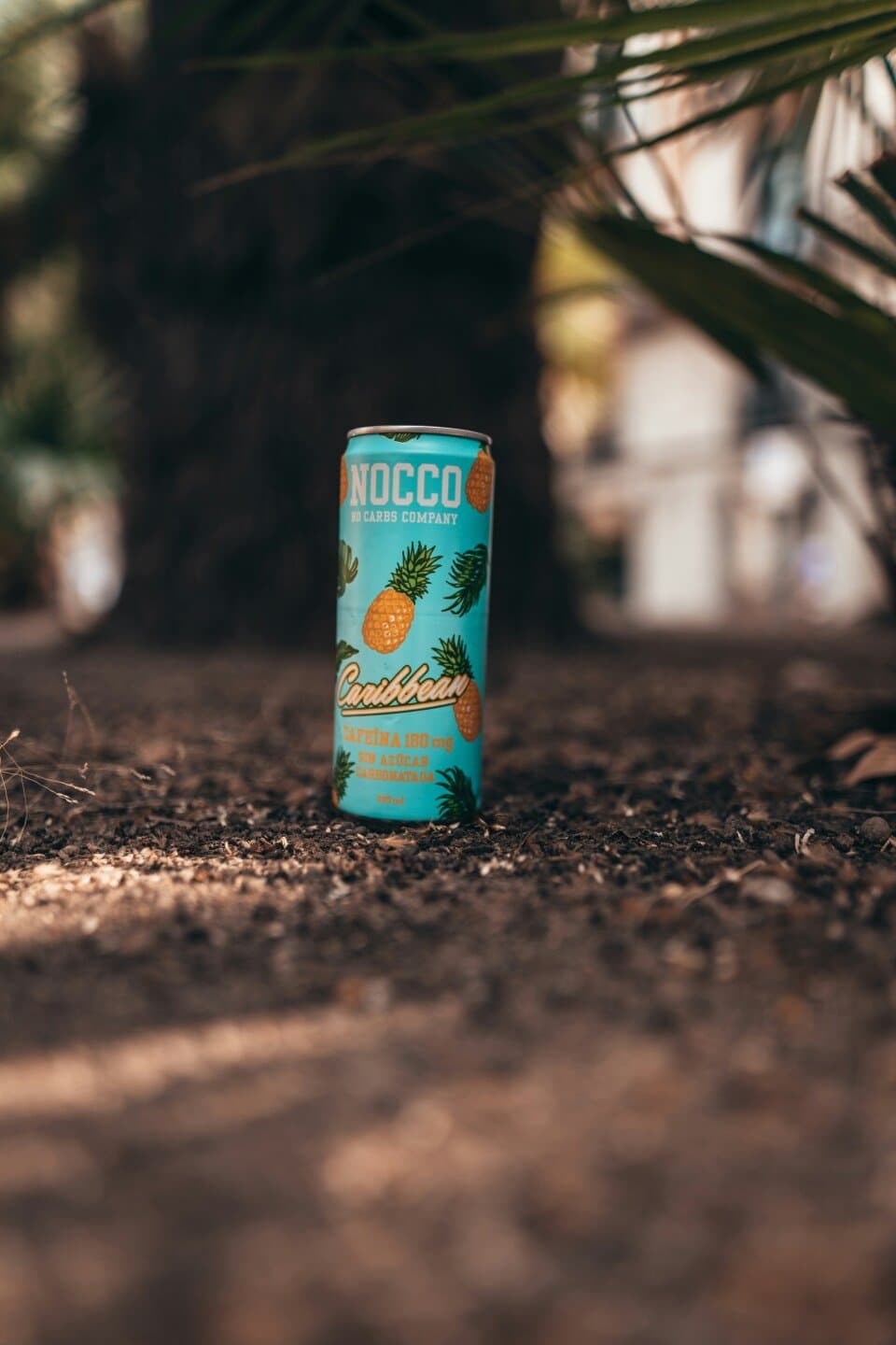 Veza Sur Tropical Everything, image 1 of 1