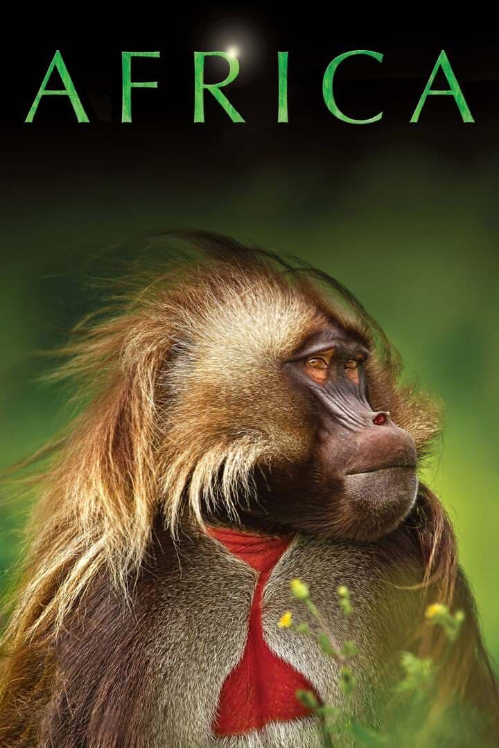 Africa, image 1 of 1