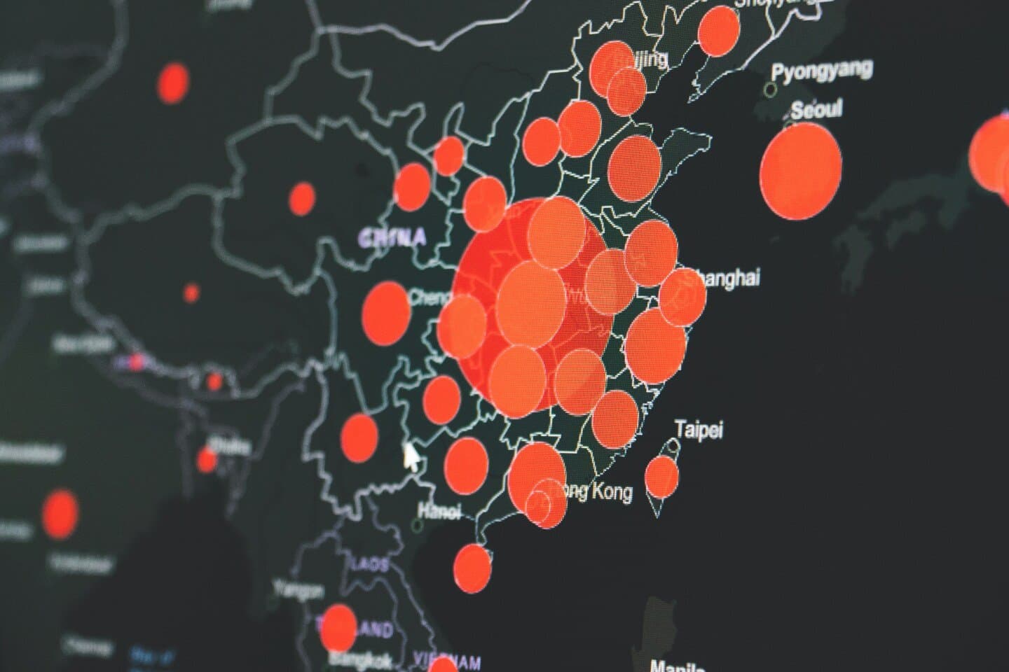 Global Burden of Disease 2019, image 1 of 1