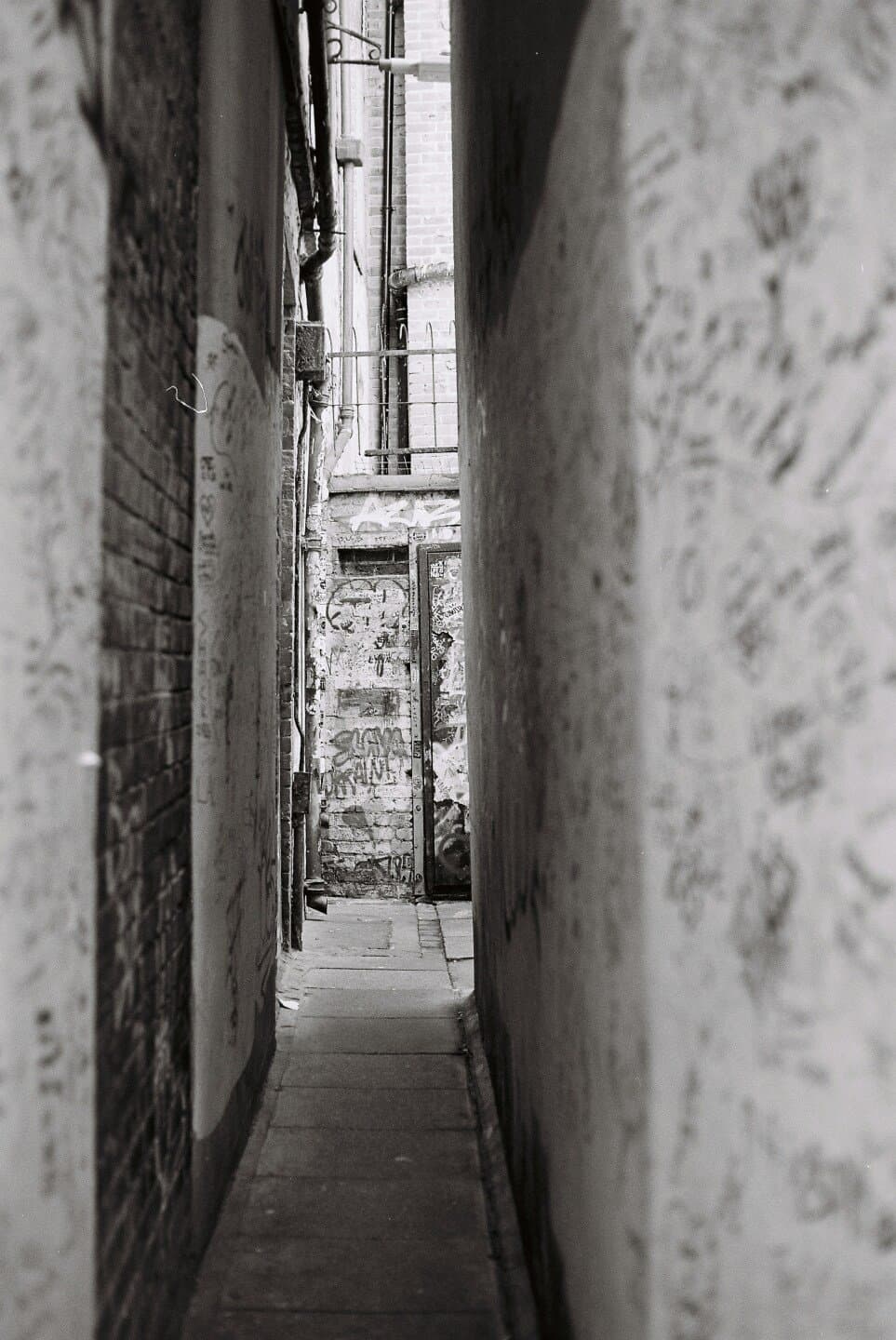 A Random Walk Down Wall Street, image 1 of 1