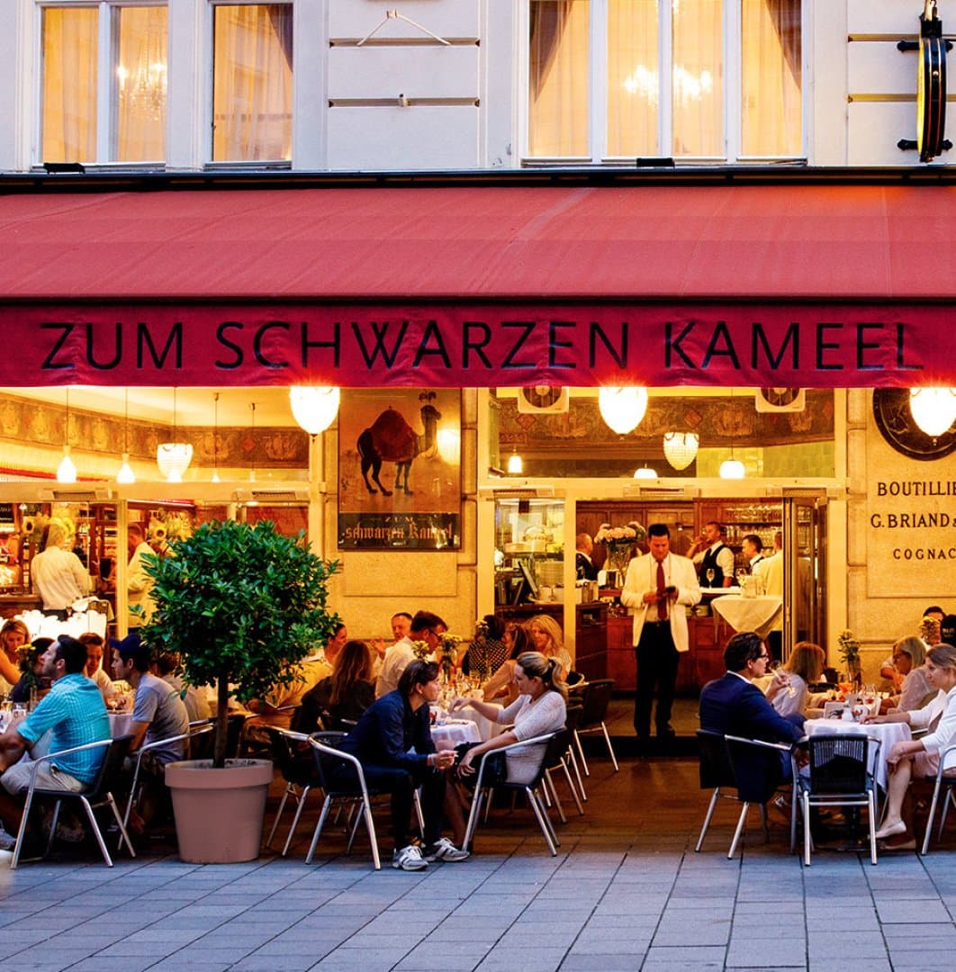 Scharzen Kameel, image 1 of 1