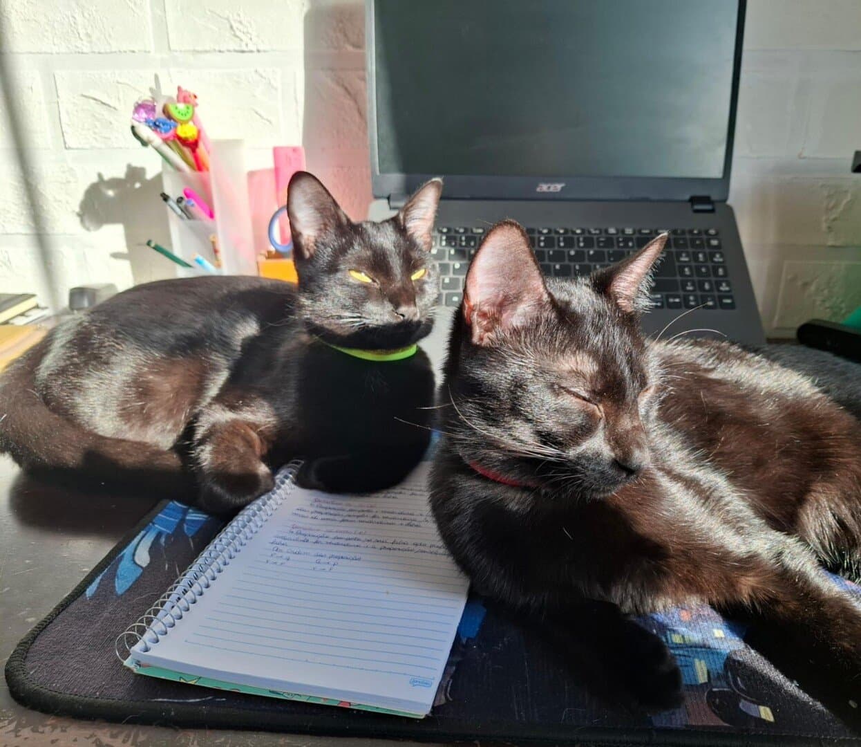 Trabalhadores, image 1 of 1