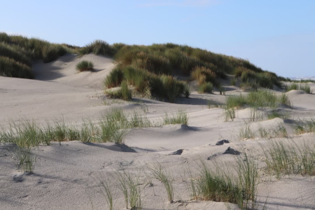 Bandon Dunes Golf Resort, image 1 of 1