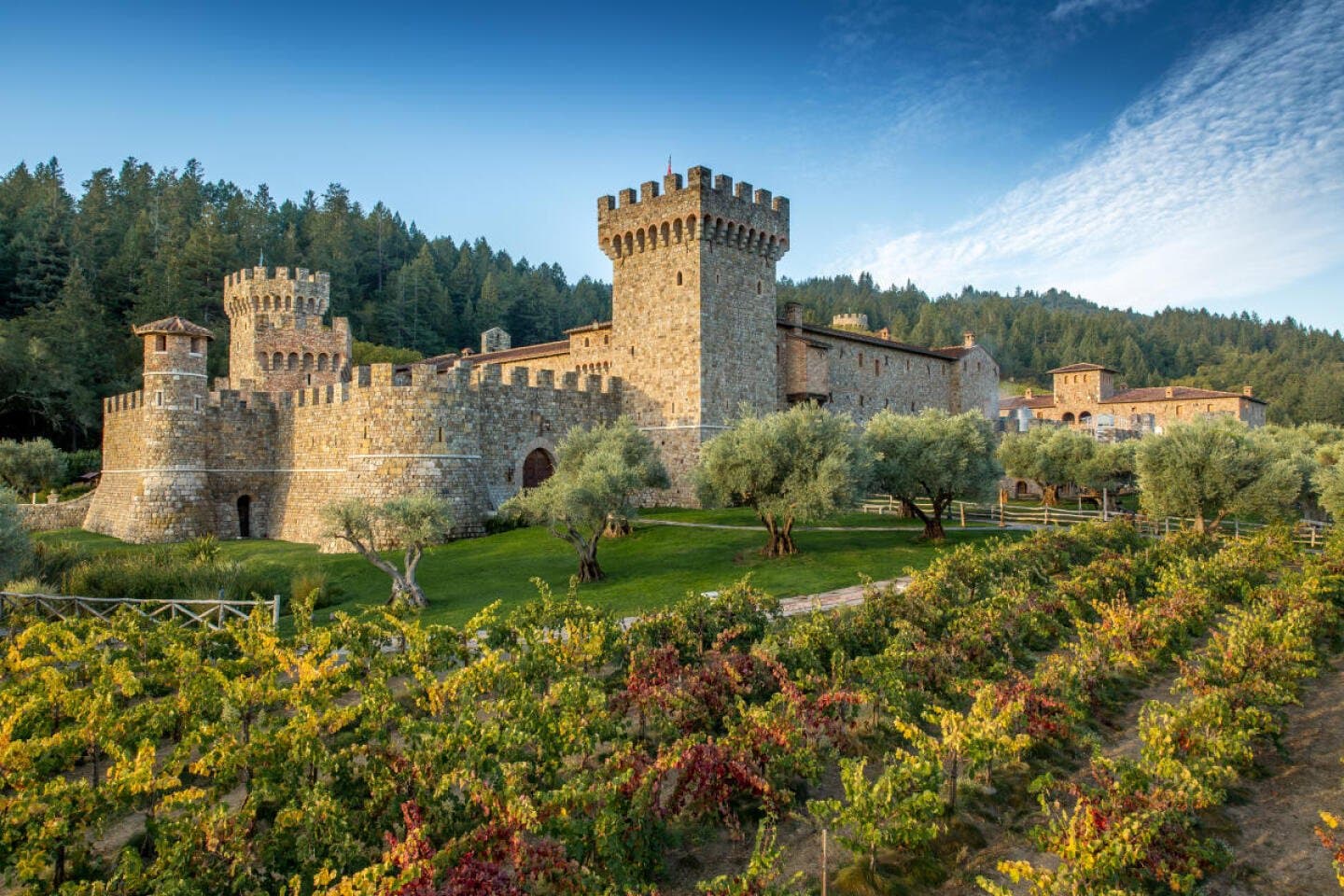Castello di Amorosa, image 1 of 1