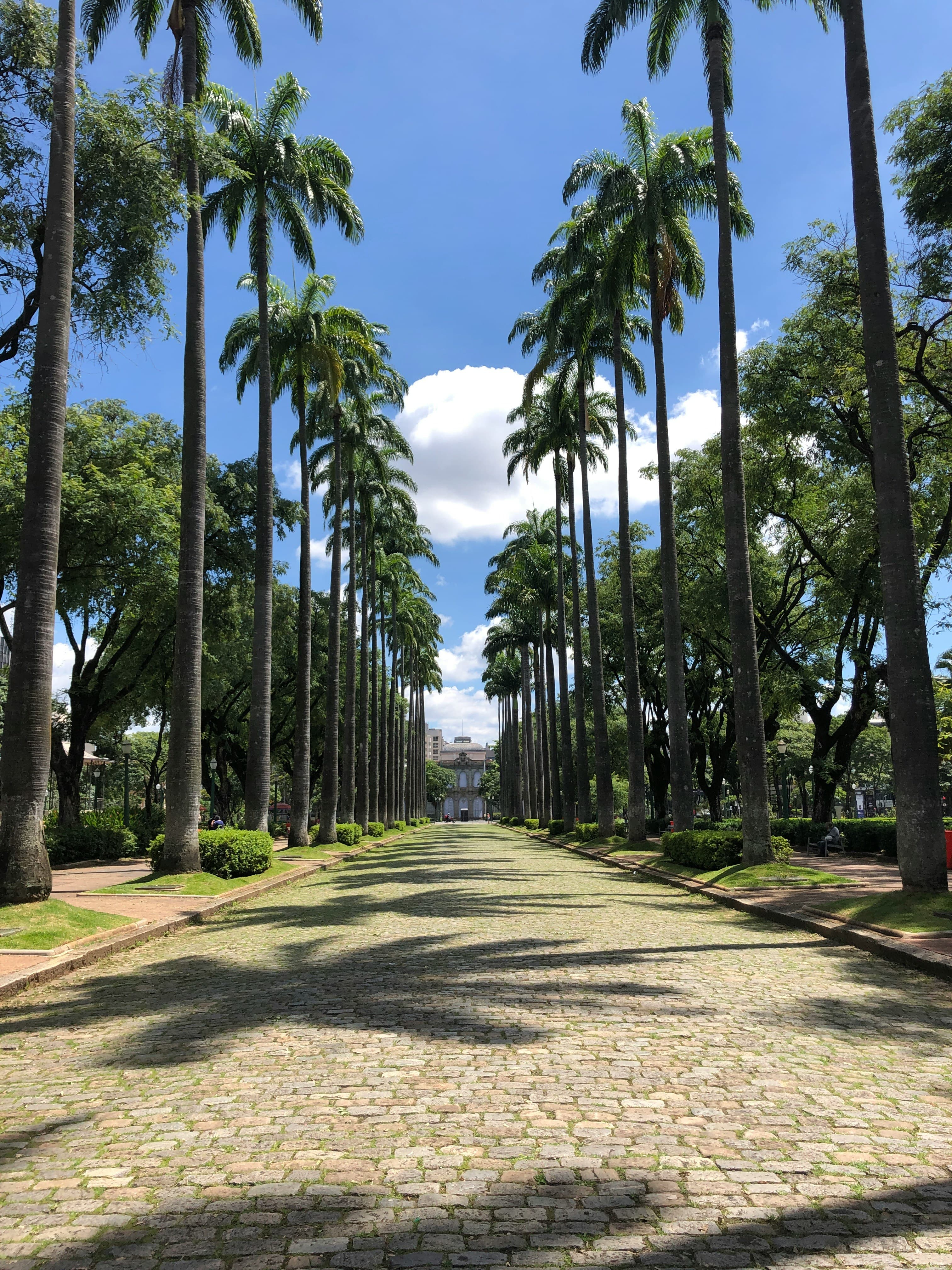 Museu de Arte do Rio (MAR), image 1 of 1